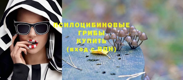 таблы Богородск