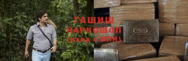 шишки Бородино