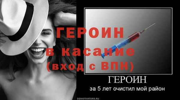 шишки Бородино
