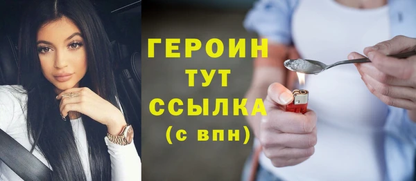 шишки Бородино