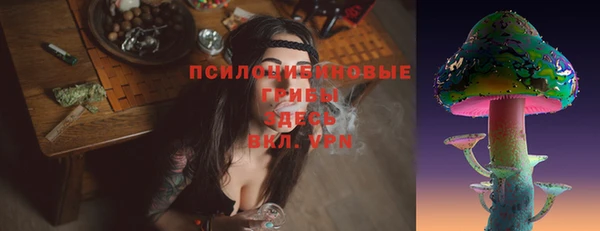 таблы Богородск