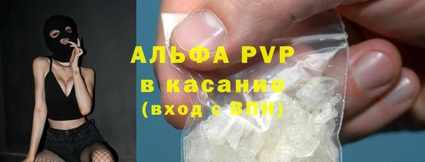 шишки Бородино