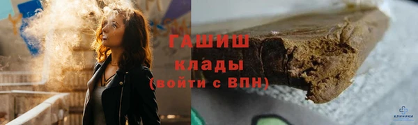 шишки Бородино