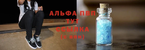 шишки Бородино