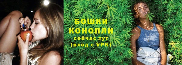 таблы Богородск