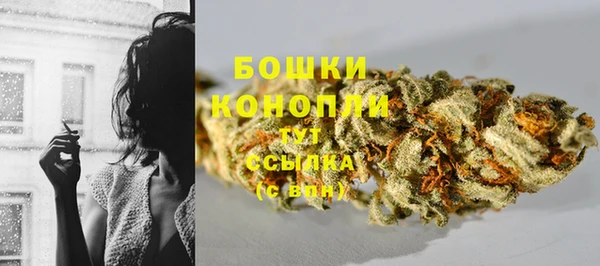 apvp Богородицк