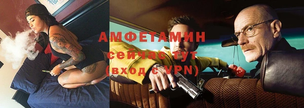 шишки Бородино