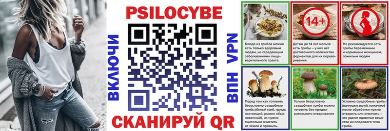 Галлюциногенные грибы Psilocybe  Верхний Тагил 